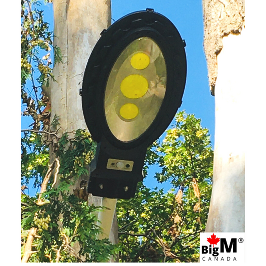 Image of a BigM solar street lights installed on a tree at a customer house