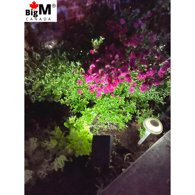 BigM Solar Powered Spot Lights for Gardens, Lawns, Pathways, Backyards lighting up a flower bush at night
