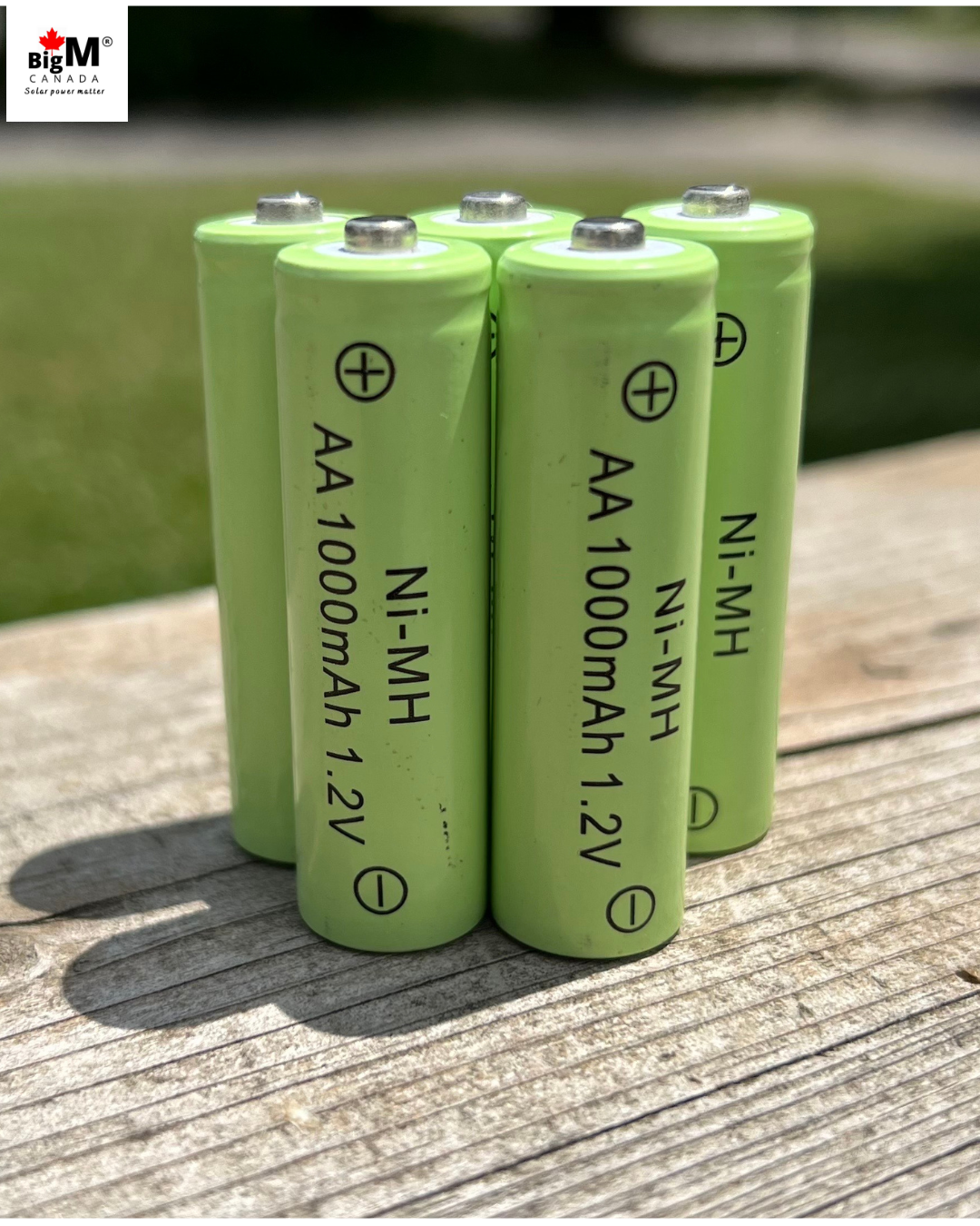 BigM 1.2V 1000mAH NiMH Rechargeable AA Battery for Solar Garden Lights