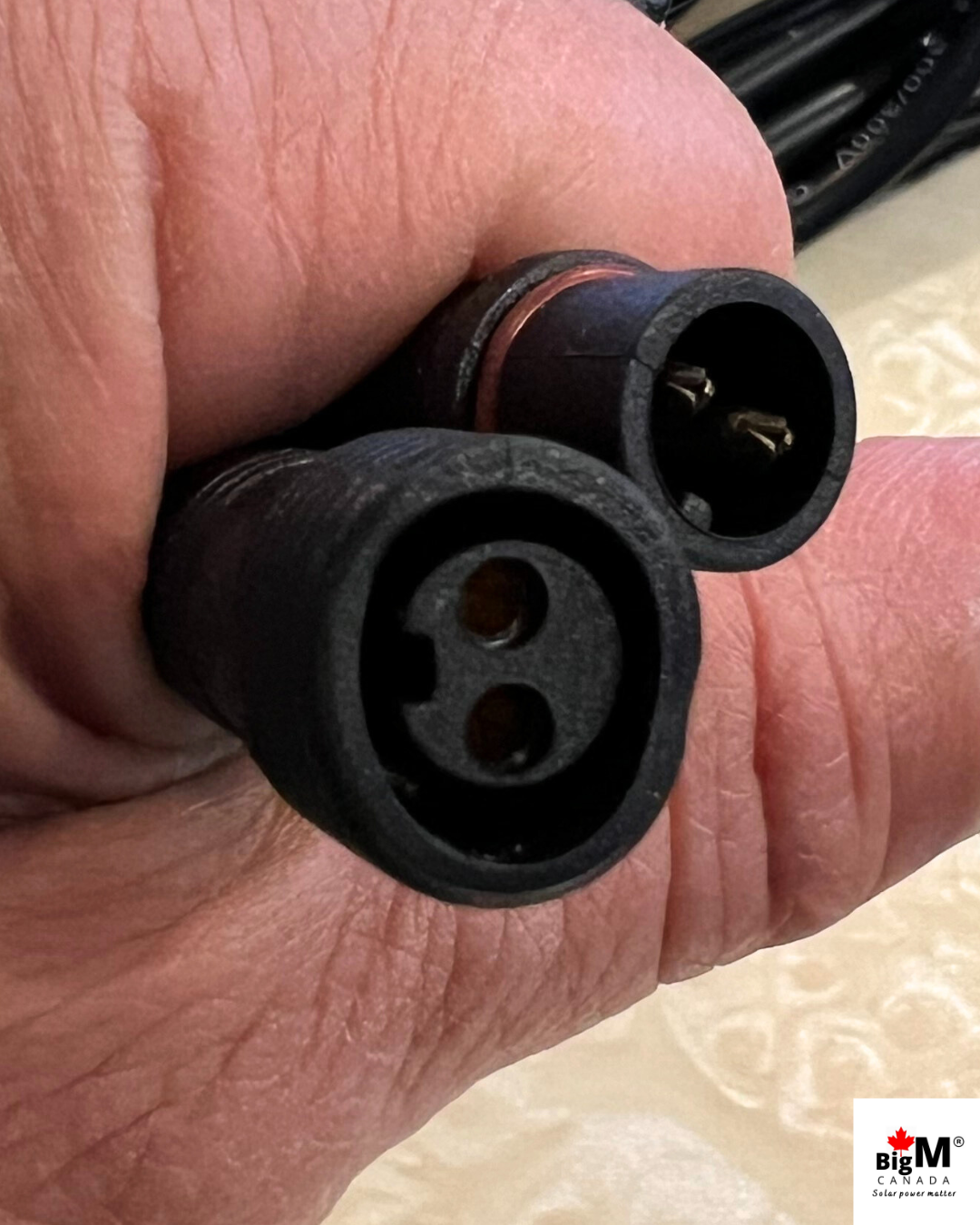 Zoomed image of 2-pin male & female connectors of BigM 16.5 ft connecting extension cable