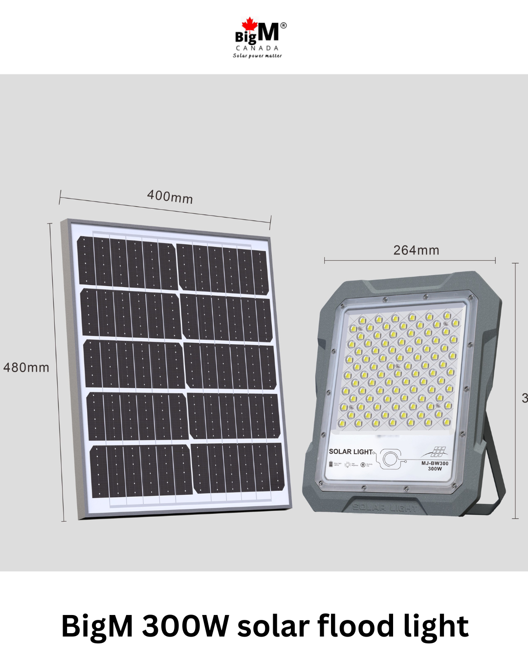 Measurement of BigM 300W Aluminum Cast Solar Floodlights with Constant Lighting