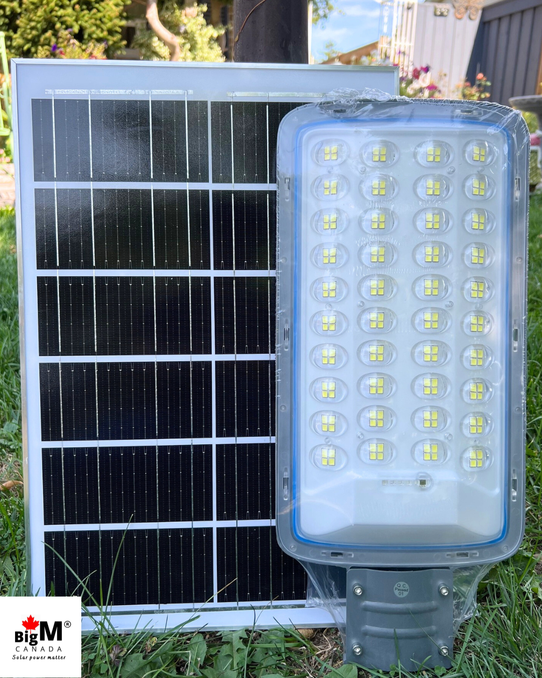Image of BigM 300W Solar Street Light, with a large adjustable Solar Panel, Aluminum Body