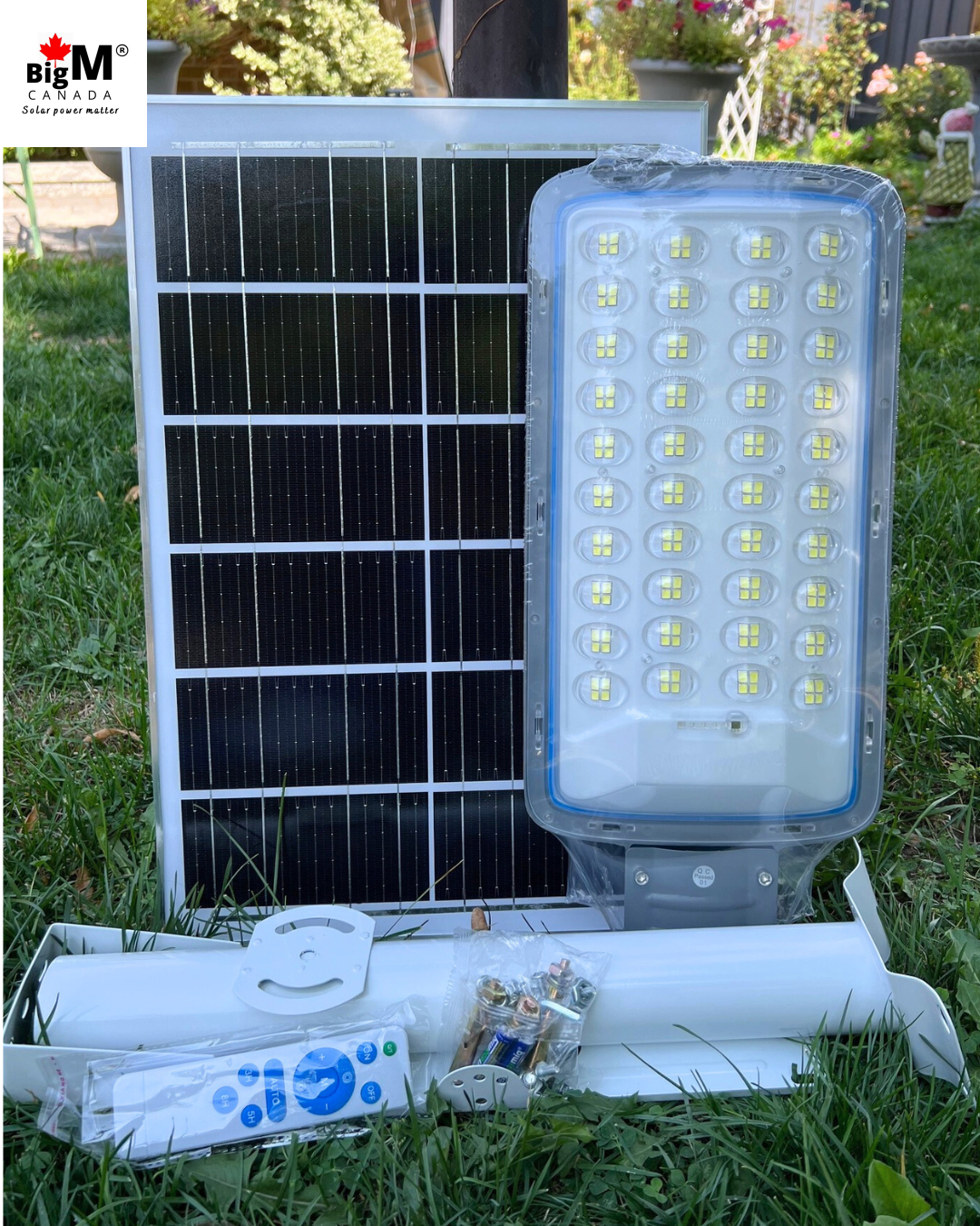 Image of BigM 300W Solar Street Light, Adjustable Solar Panel, Aluminum Body
