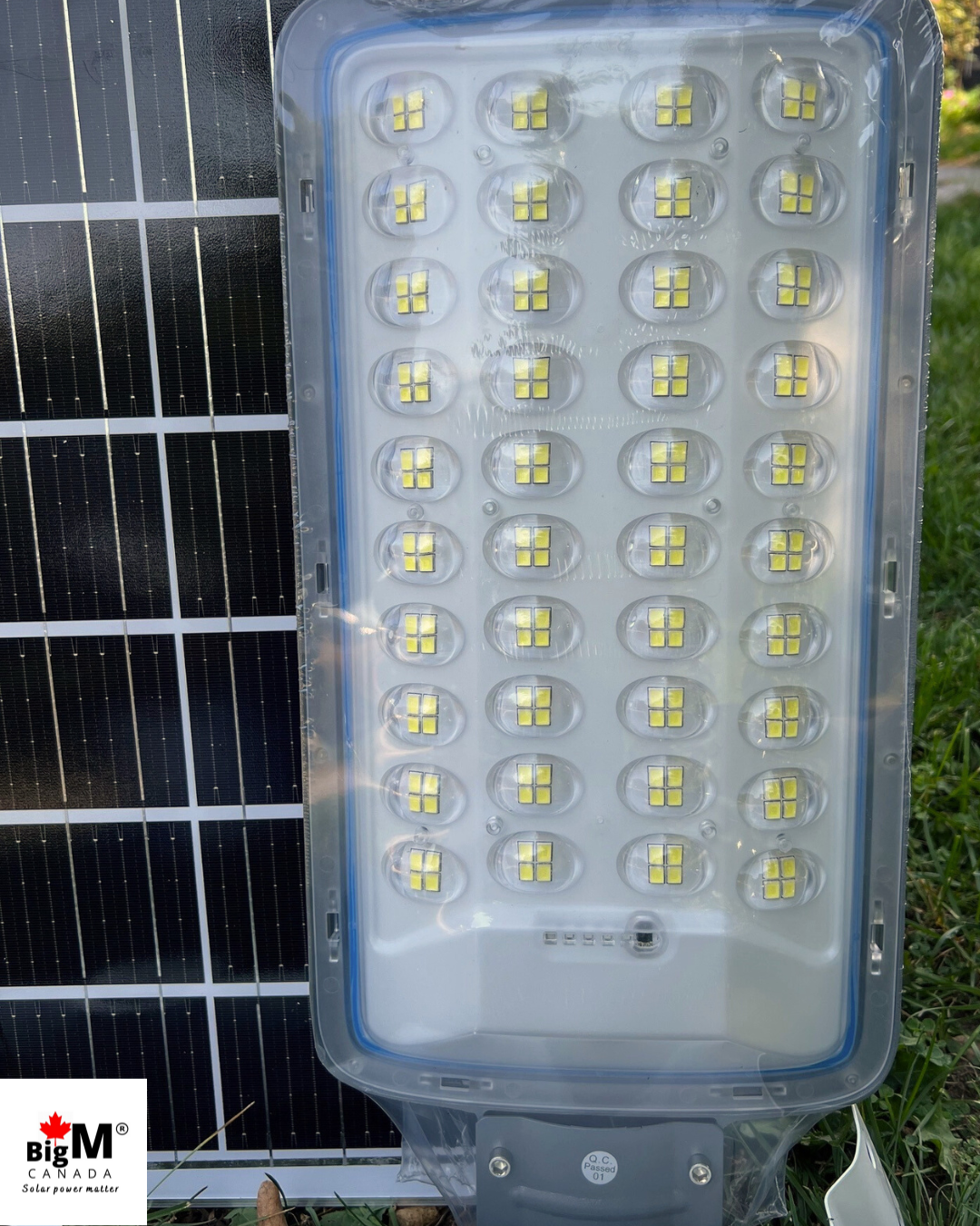 ight fixture image of BigM 300W Solar Street Light, Adjustable Solar Panel, Aluminum Body