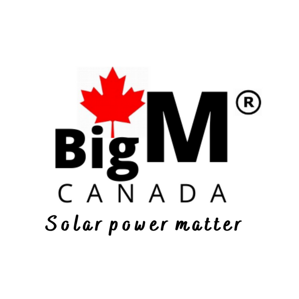 bigmcanada.com