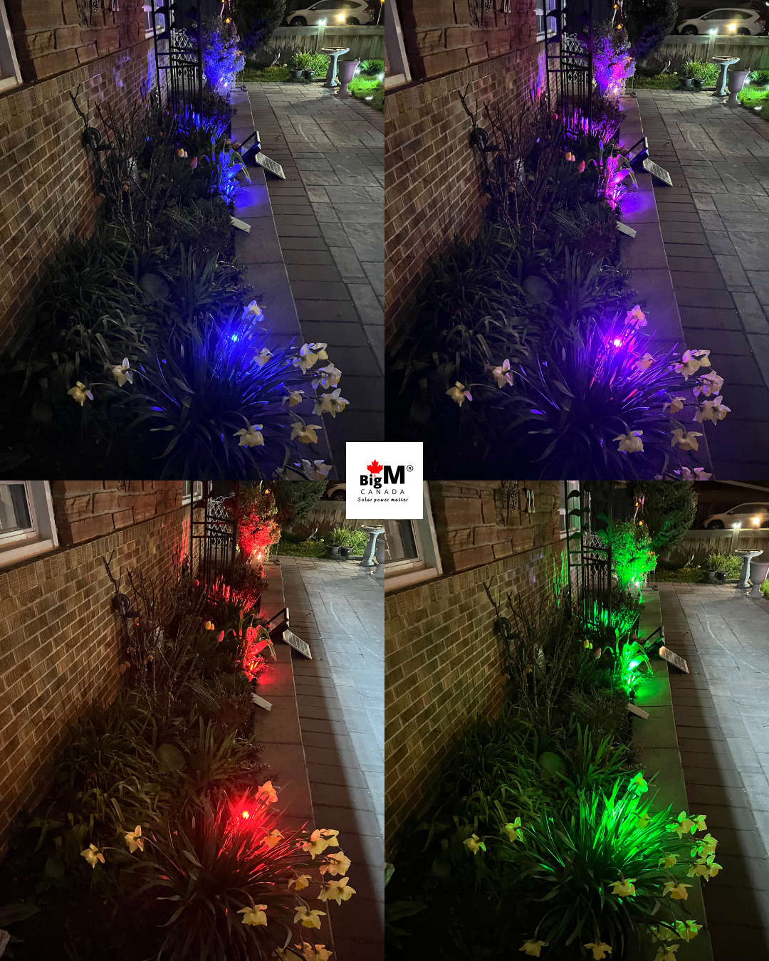 BigM RGB solar spot light with 4 light heads with RGB colour changing & fixed custom colour control options