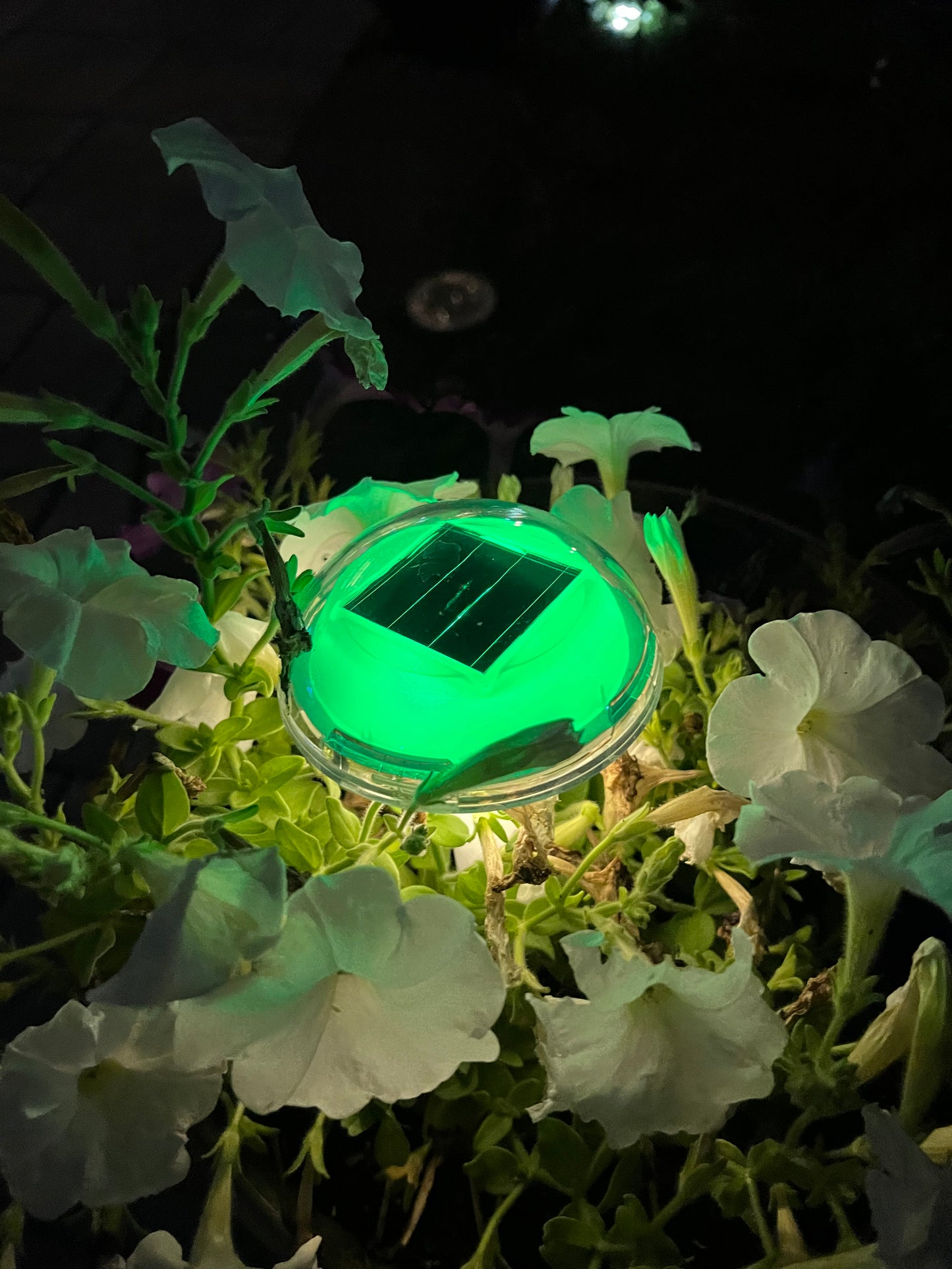 BigM RGB Color Changing Solar Mushroom Lights make your garden standout