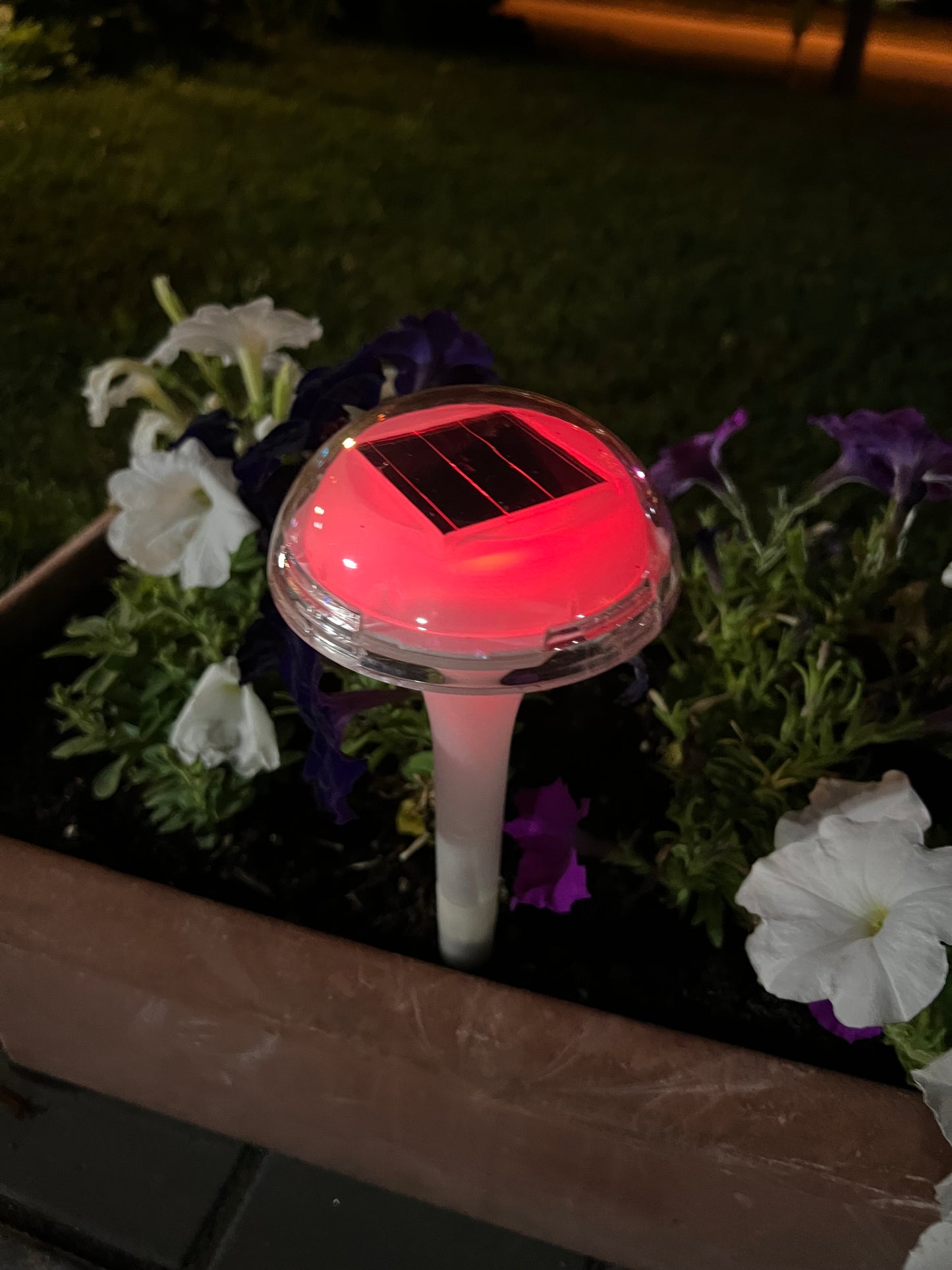 BigM RGB Color Changing Solar Mushroom Lights Change colour constantly at night