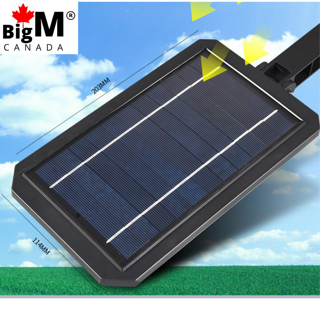 Large solar panel of BigM 100w solar street light