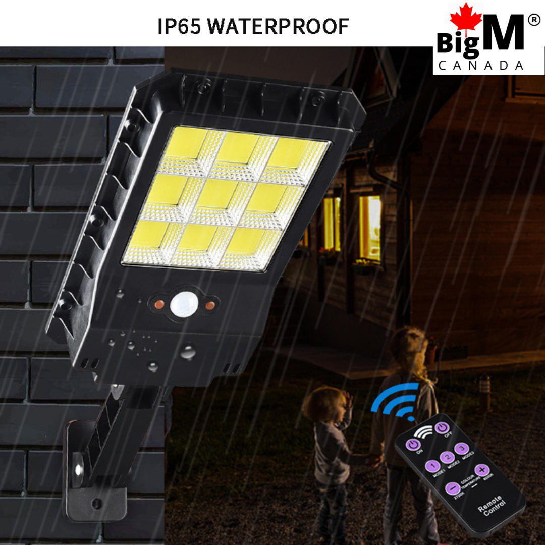 BigM 100w solar powered super bright mini street light with remote