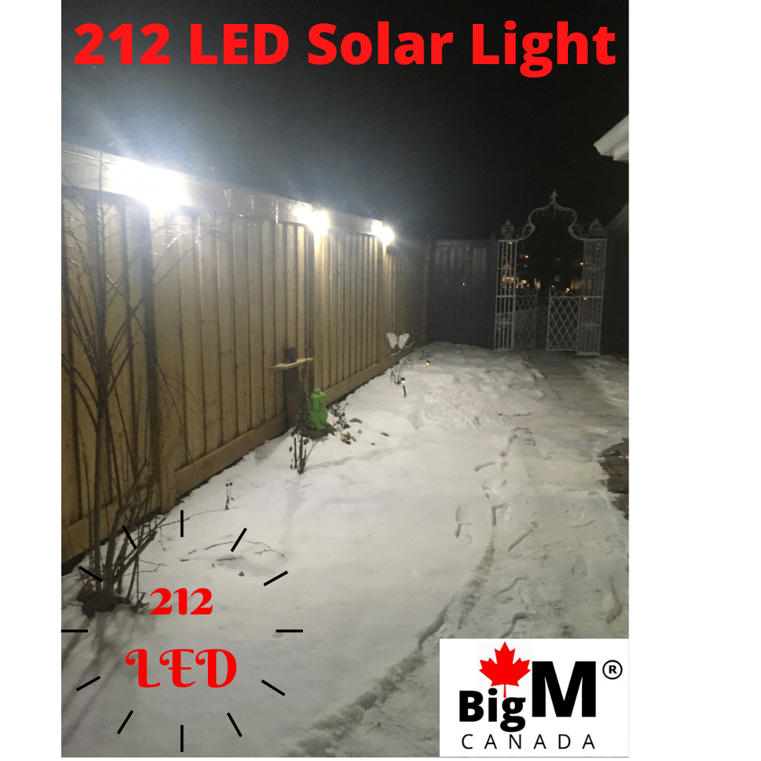 BigM  212 LED Solar Light With Motion Sensor lights up brightly a pathway of a house