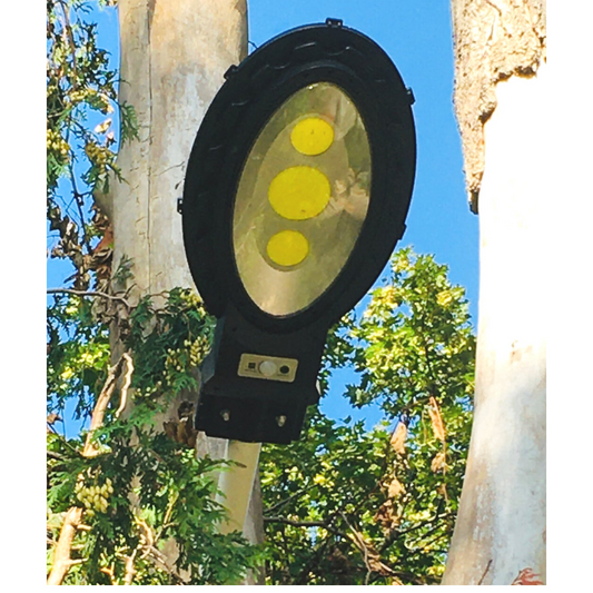 BigM Heavy Duty 500W Solar Flood Light With Motion Sensor installed by a customer on a tree about 25 ft above the ground