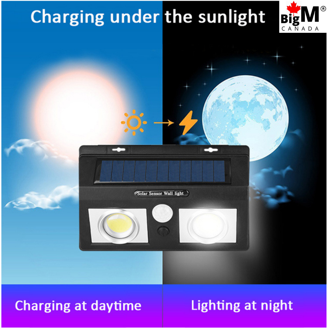BigM 1000 Lumens Outdoor Solar Lights charges during day time & works at night