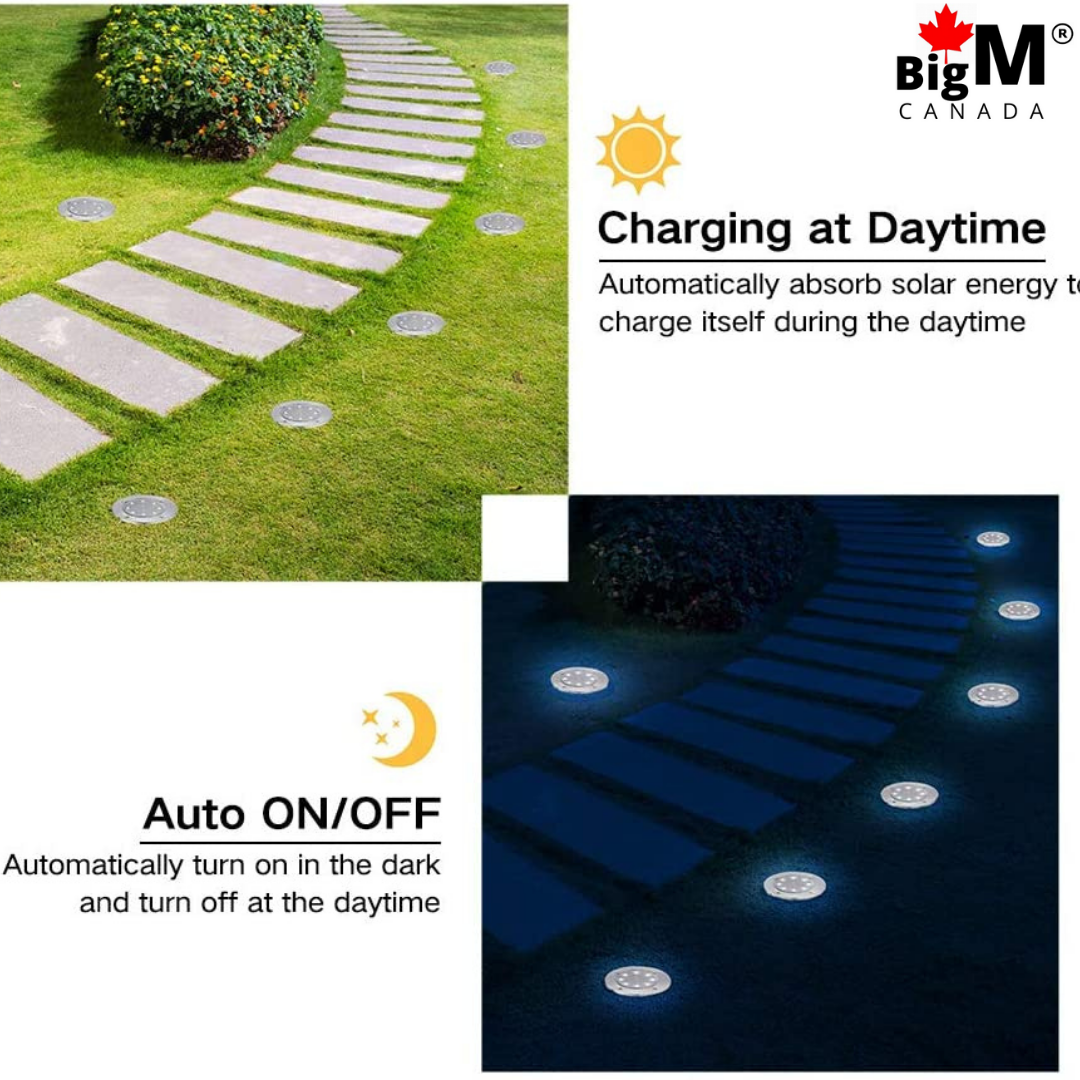 BigM Cool White LED Solar Landscaping Lights for Garden Lawn