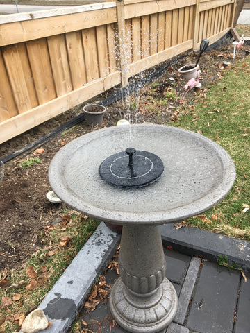 BigM Solar Floating Fountain on a Bird Bath