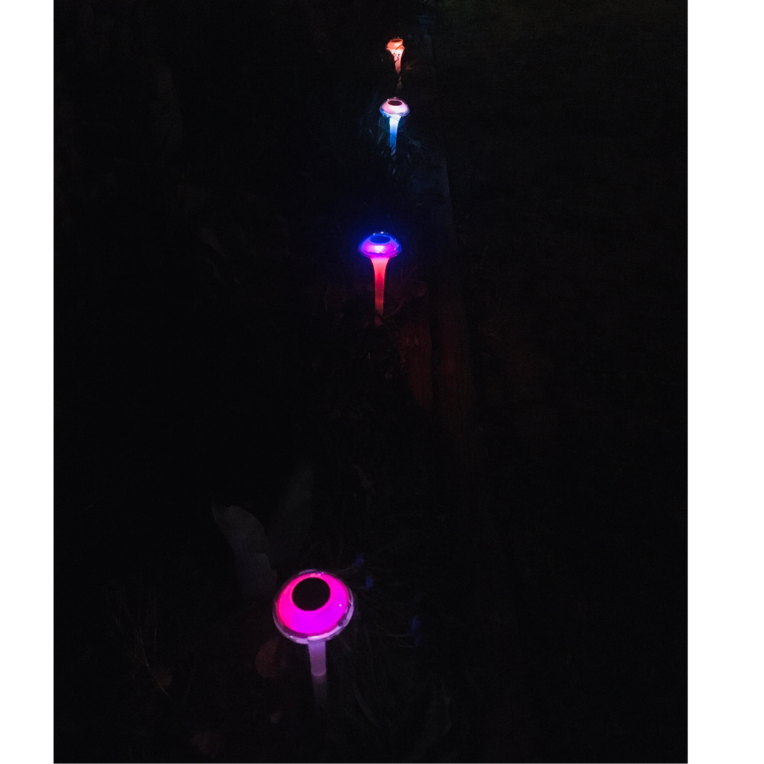 BigM RGB Color Changing Solar Mushroom Lights are changing colours constantly at night