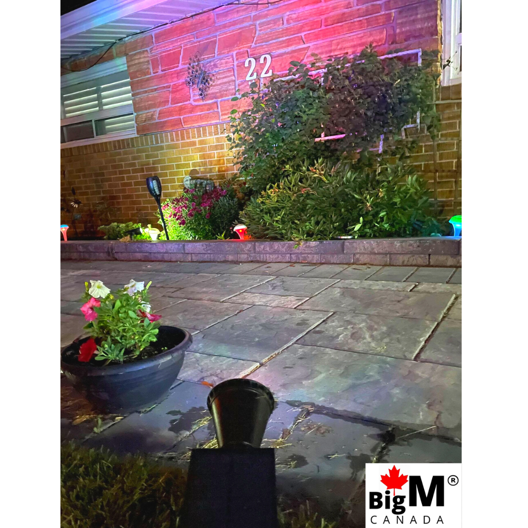 BigM Wireless RGB Color Changing Solar Spotlights light up the garden beautifully after dusk