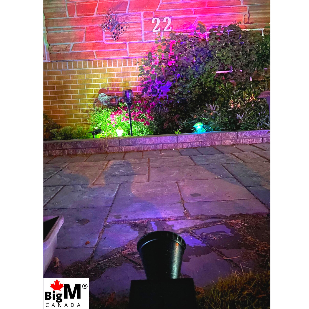 BigM Wireless RGB Color Changing Solar Spotlights add color i your garden