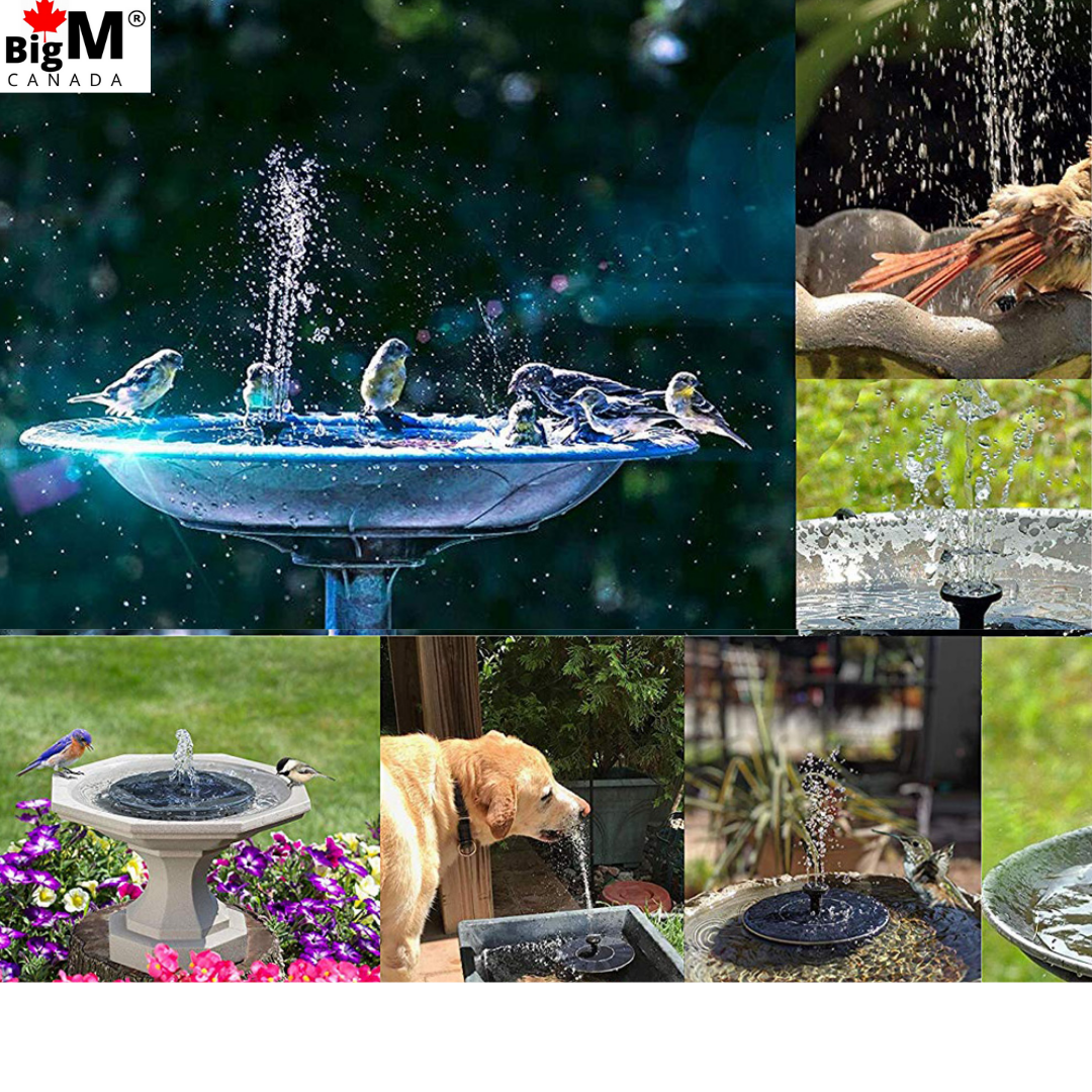 BigM Solar Floating Fountain attracts lots beautiful birds in the bird bath