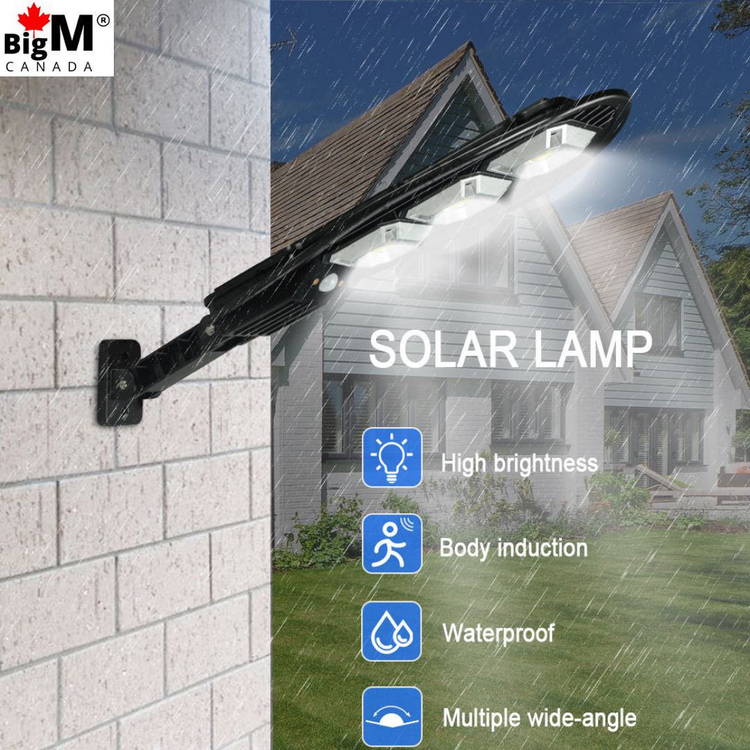 Features of BigM 100W solar street flood lights