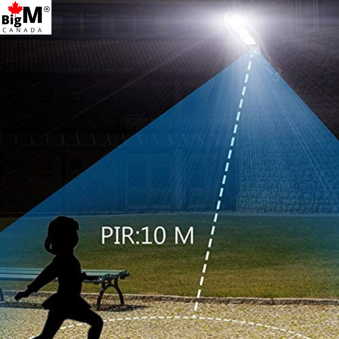 Image of BigM 100W solar street flood lights effectively works with PIR motion sensor