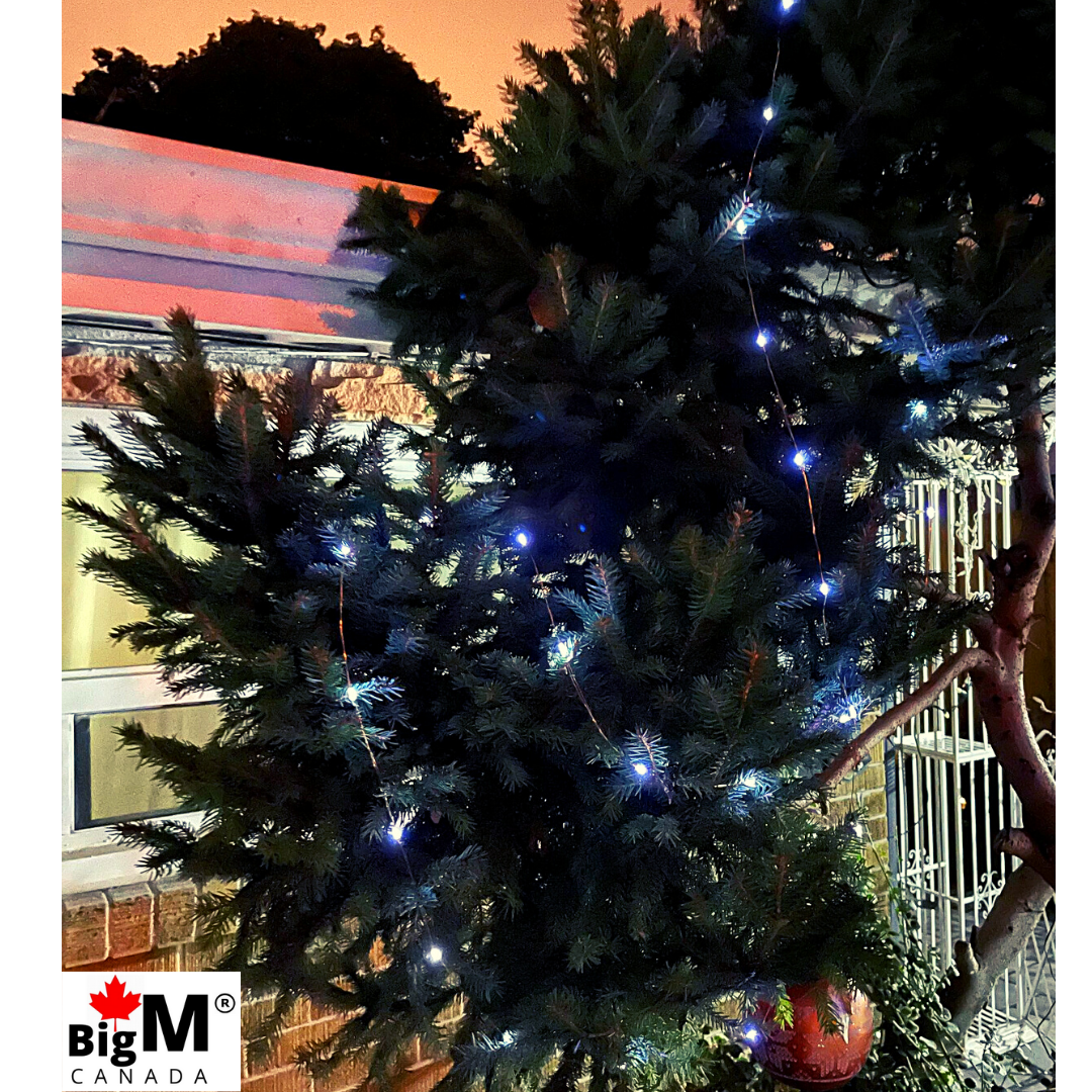 BigM Cool White LED Solar Copper String Lights are easy to install at your outdoorsOutdoors