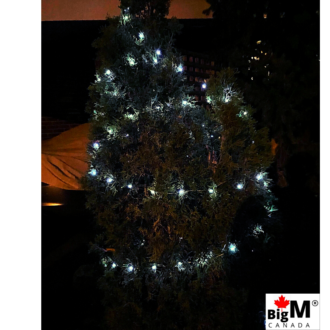 This BigM 33 ft long string light with 100 bright LED bulbs made of thin and flexible copper wire, will easily build the shapes you want, and can be warapped around a chriatmas tree