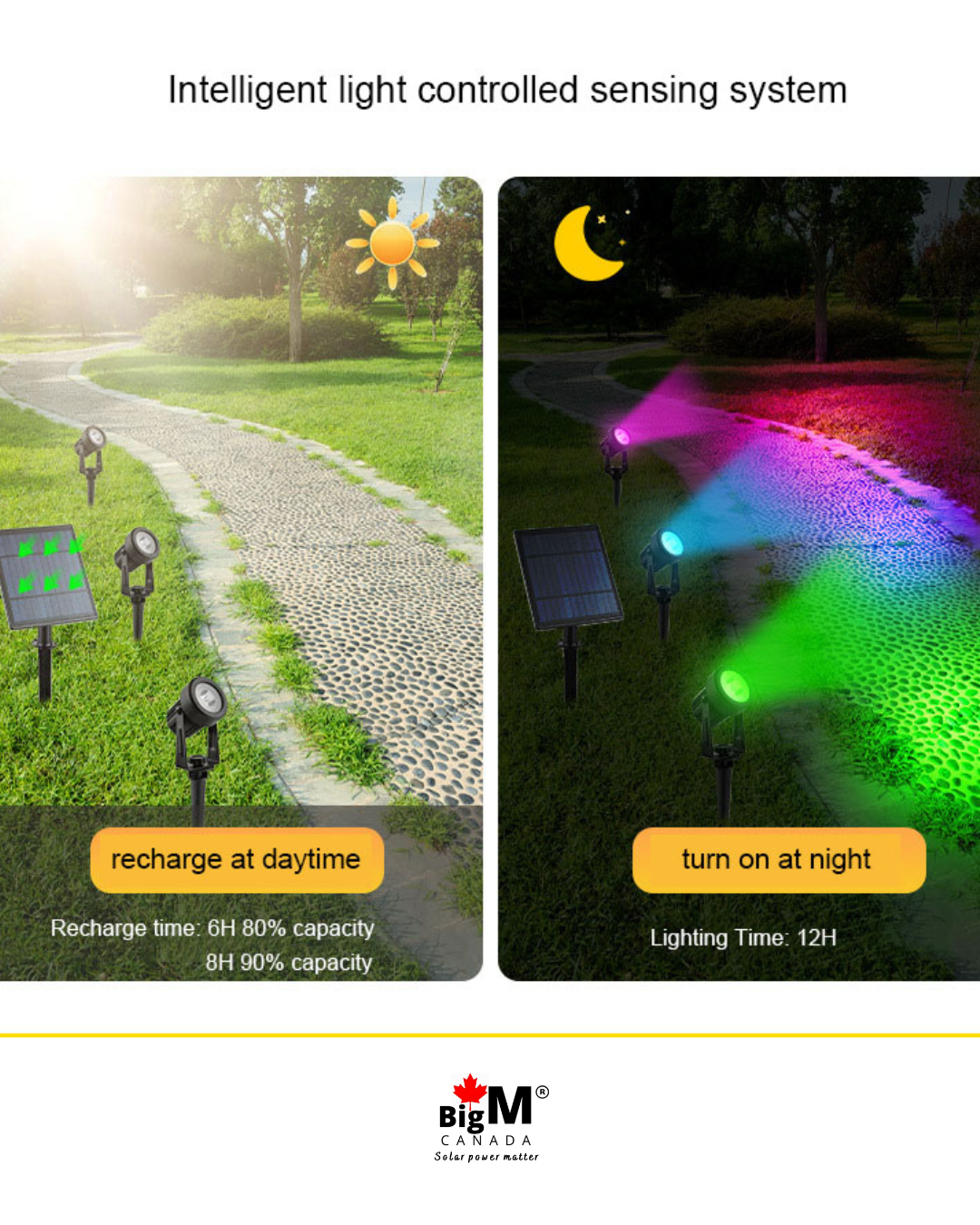 BigM RGB solar spot light with 4 light heads with RGB colour changing & fixed custom colour control options