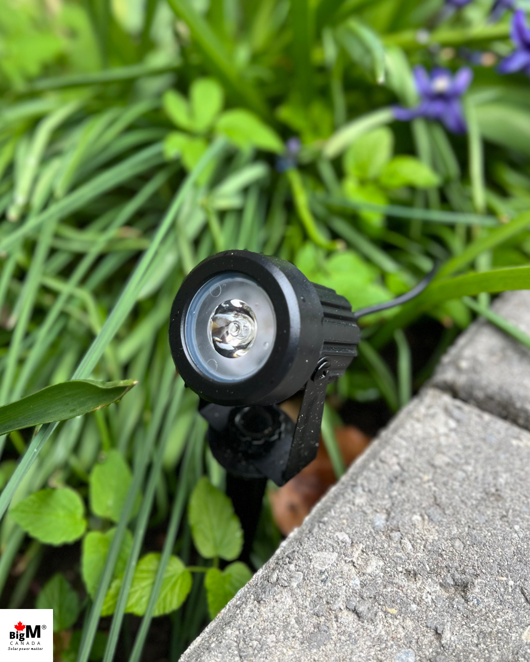BigM RGB solar spot light with 4 light heads with RGB colour changing & fixed custom colour control options
