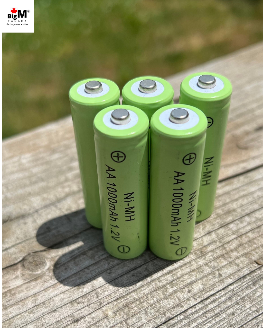 BigM 1.2V 1000mAh NiMH rechargeable AA batteries for solar garden lights and electronics, durable and eco-friendly