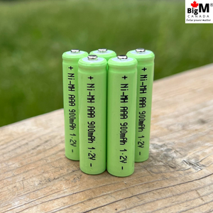 BigM Heavy Duty 1.2V Ni-MH 900mAH AAA Rechargeable Battery comes in a 5 pack size