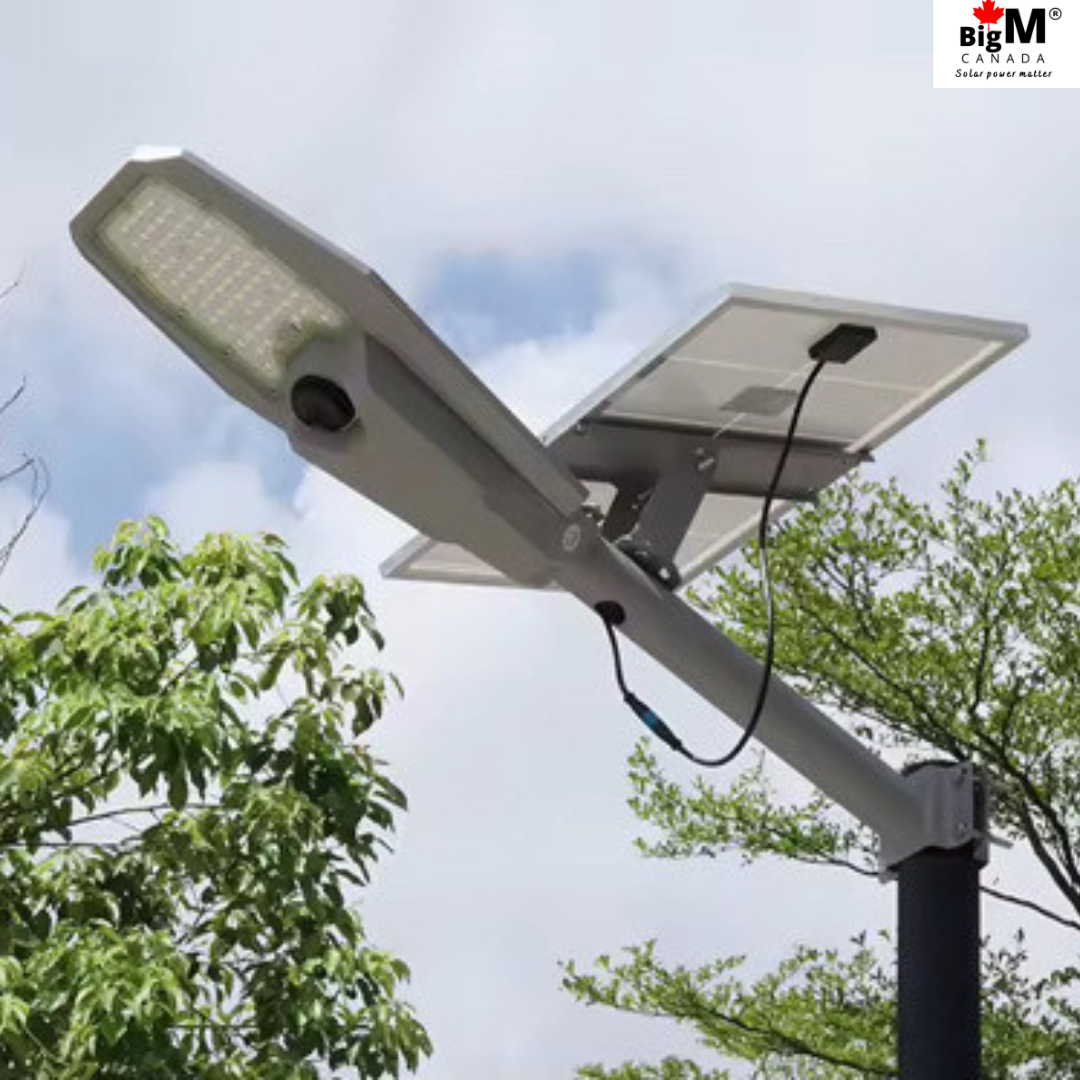 BigM 600W aluminum solar street light comes with an adjustable high efficiency solar panel.