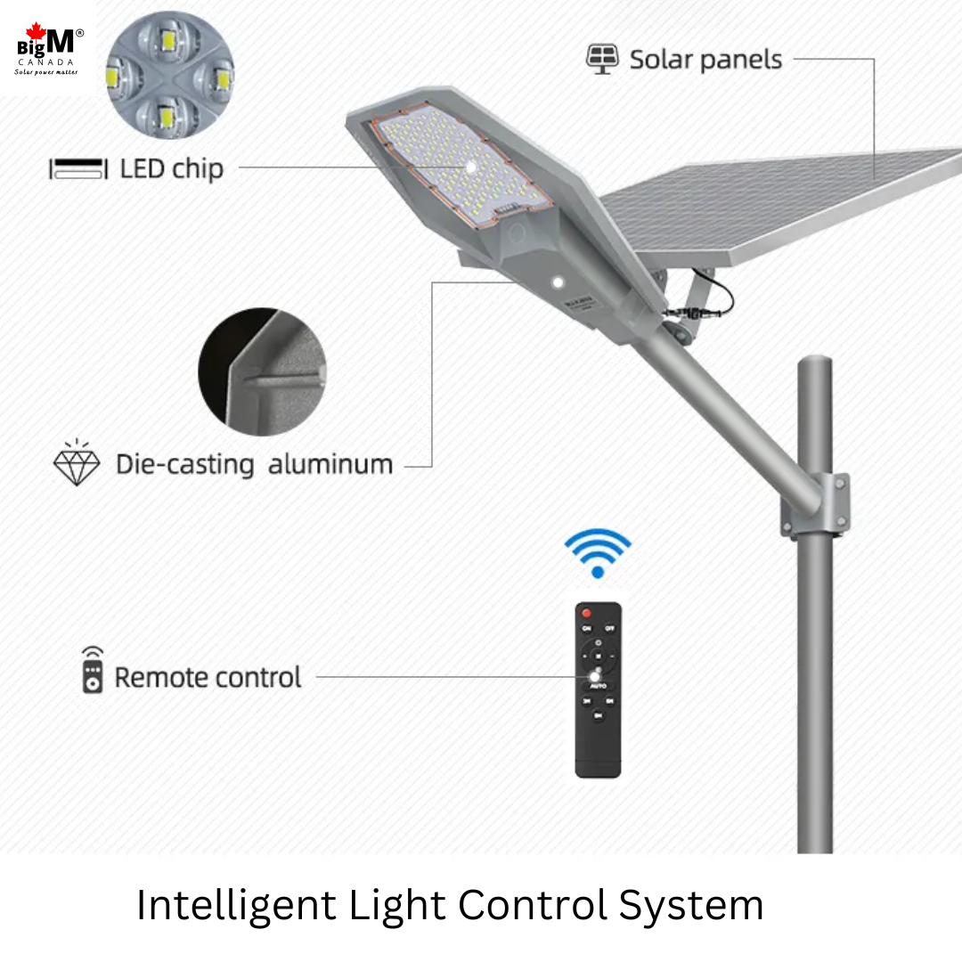 BigM 600W aluminum solar street light with motion sensor & adjustable solar panel