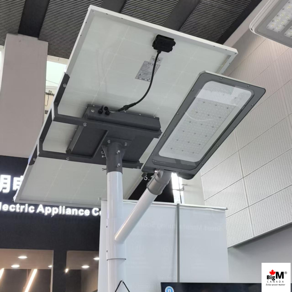 BigM Custom-Made Commercial Grade Solar Municipal Street Light for road authorities, industrial facilities