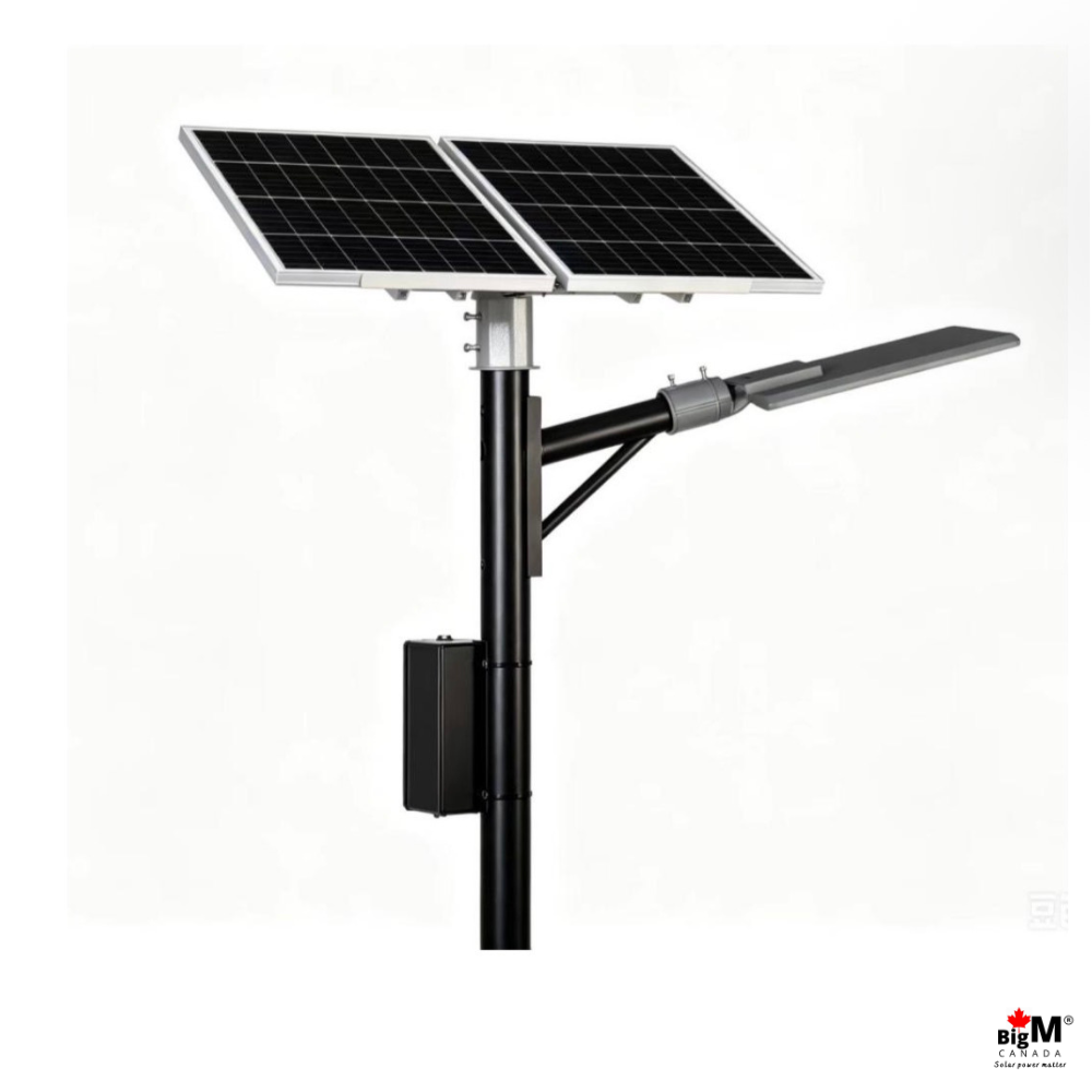 BigM Custom-Made Commercial Grade Solar Municipal Street Light for road authorities, industrial facilities