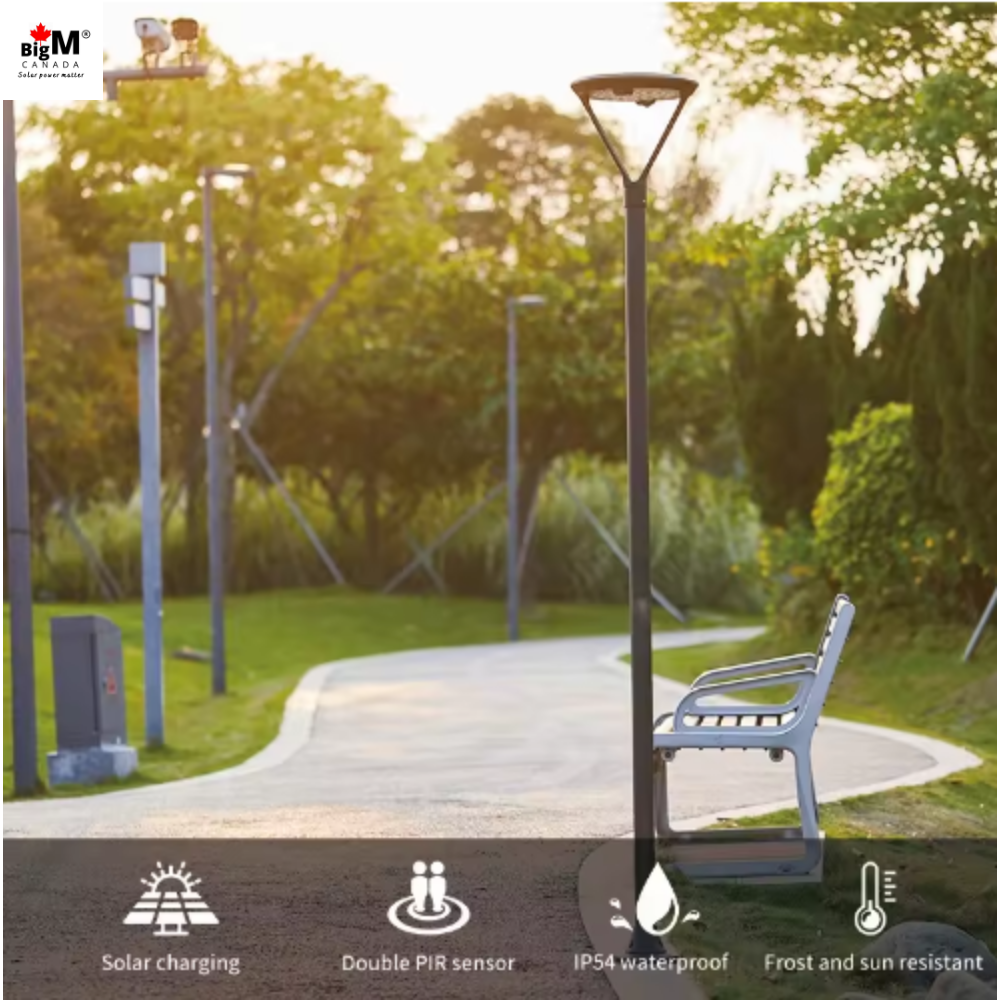 BigM Solar Outdoor Post Light with Motion Sensor, Steady Lighting Options & 7 ft Pole for Gardens, Pathways, Driveways & Pillar Tops