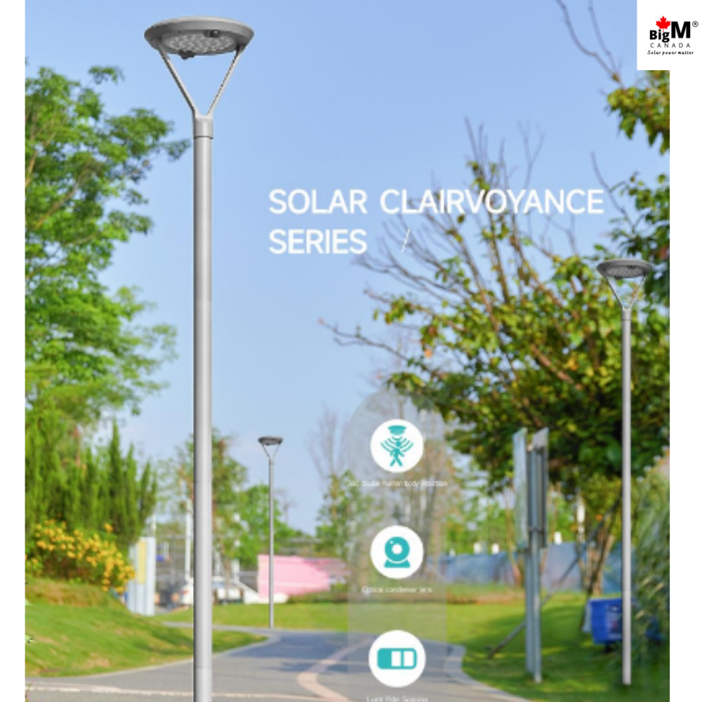 BigM Solar Outdoor Post Light with Motion Sensor, Steady Lighting Options & 7 ft Pole for Gardens, Pathways, Driveways & Pillar Tops