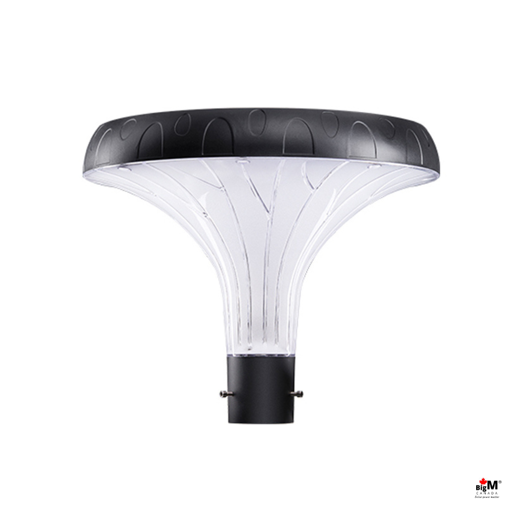 BigM Solar Outdoor LED Post Light with 10 ft Tall Pole for Pathways, Parks, Gardens, Townhouse Complexes, Streets
