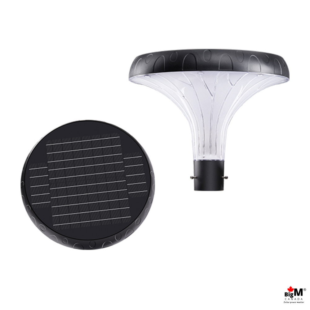 BigM Solar Outdoor LED Post Light with 10 ft Tall Pole for Pathways, Parks, Gardens, Townhouse Complexes, Streets