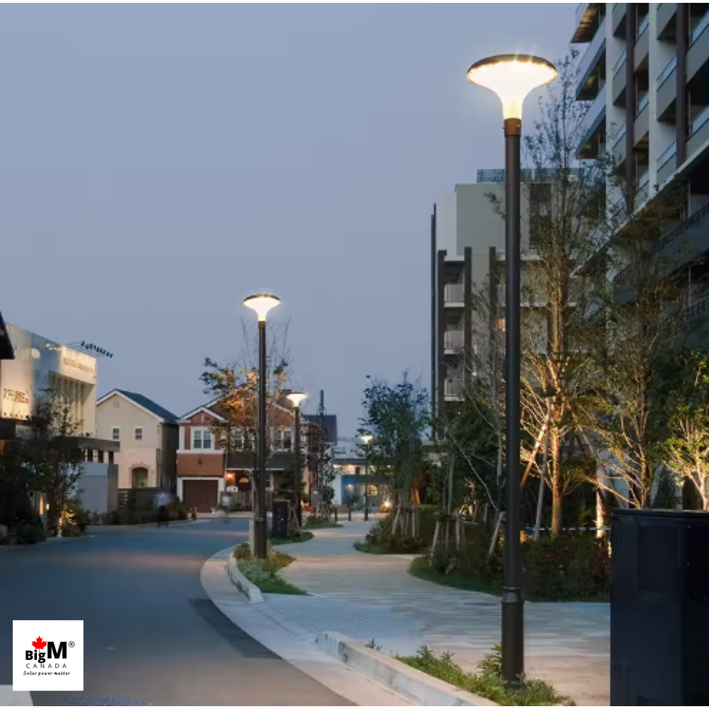 BigM Solar Outdoor LED Post Light with 10 ft Tall Pole for Pathways, Parks, Gardens, Townhouse Complexes, Streets