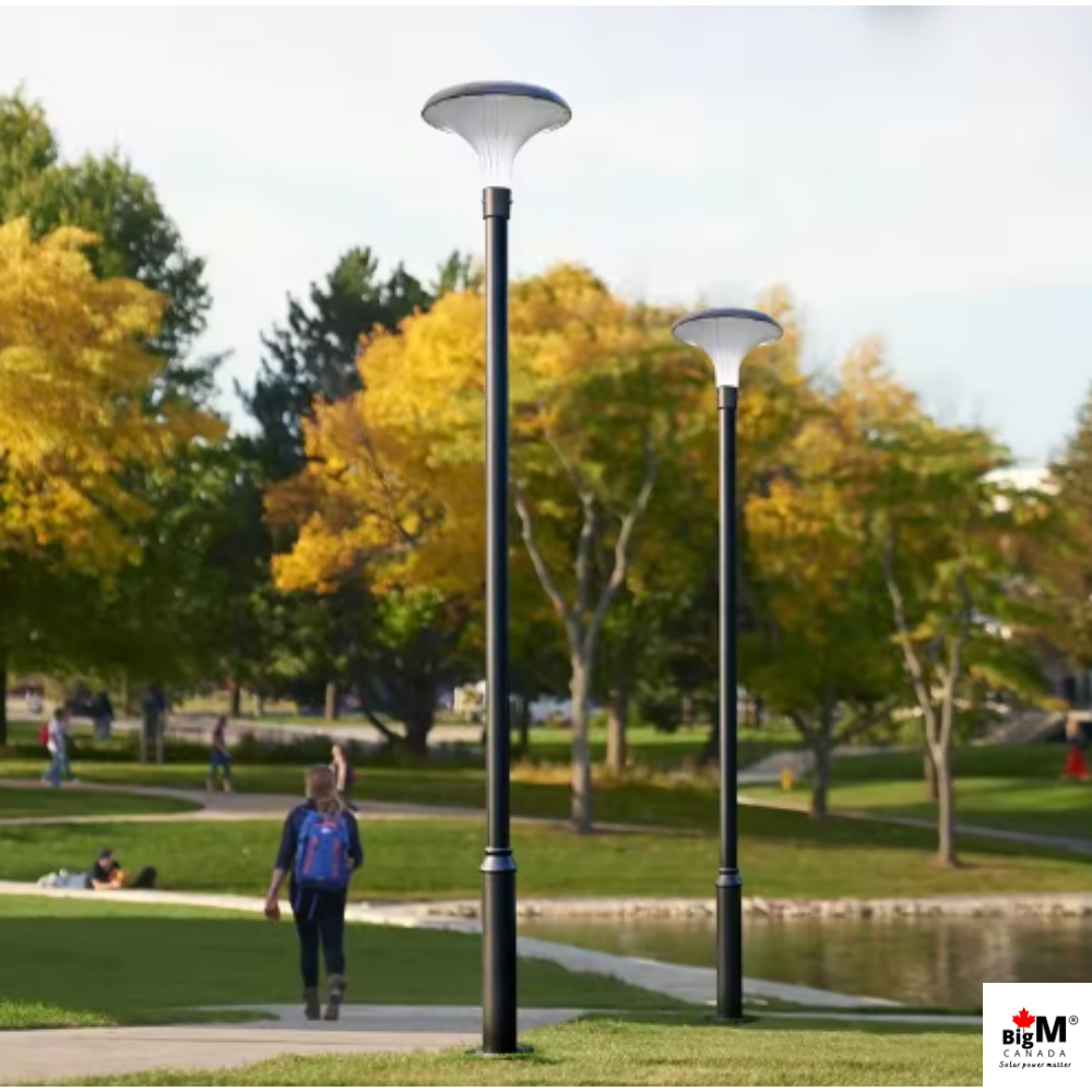 BigM Solar Outdoor LED Post Light with 10 ft Tall Pole for Pathways, Parks, Gardens, Townhouse Complexes, Streets