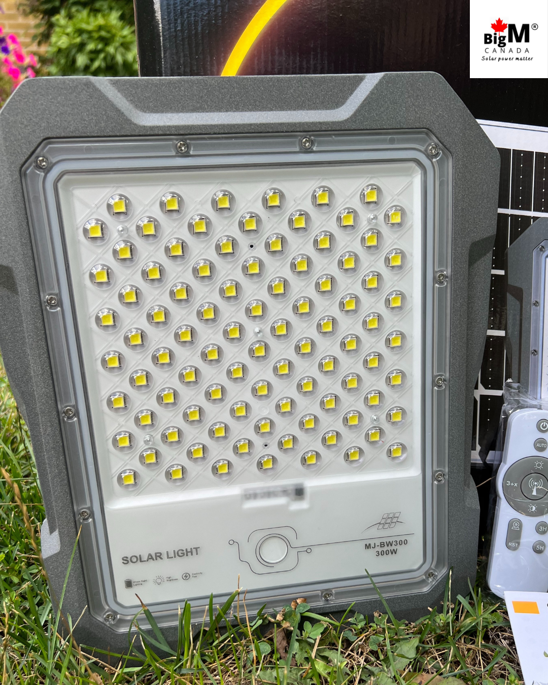  BigM  500W Aluminum Cast Solar Floodlights with Constant Lighting has large high efficiency LED beads