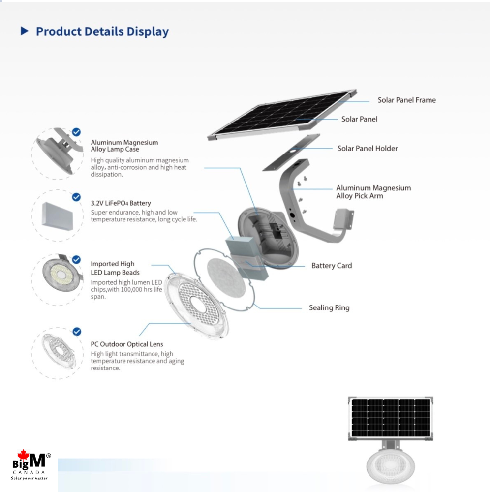 BigM Solar Pathway Light – 2000 Lumens with Adjustable Solar Panel & Steady Lighting