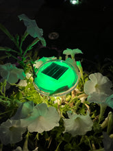 Load image into Gallery viewer, BigM RGB Color Changing Solar Mushroom Lights make your garden standout 

