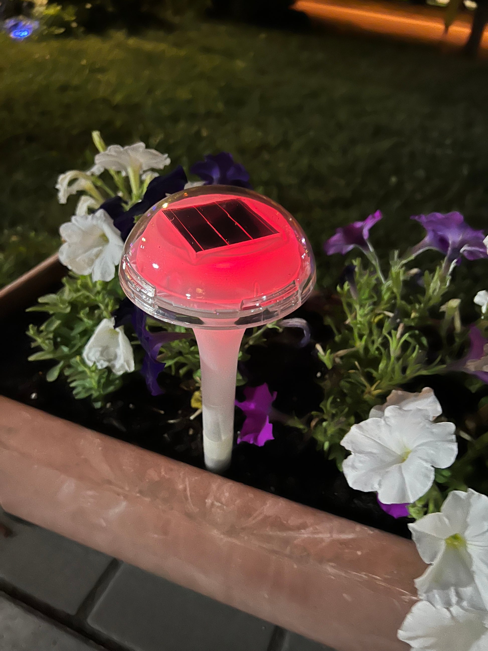 BigM RGB Color Changing Solar Mushroom Lights Glows beautifully at night