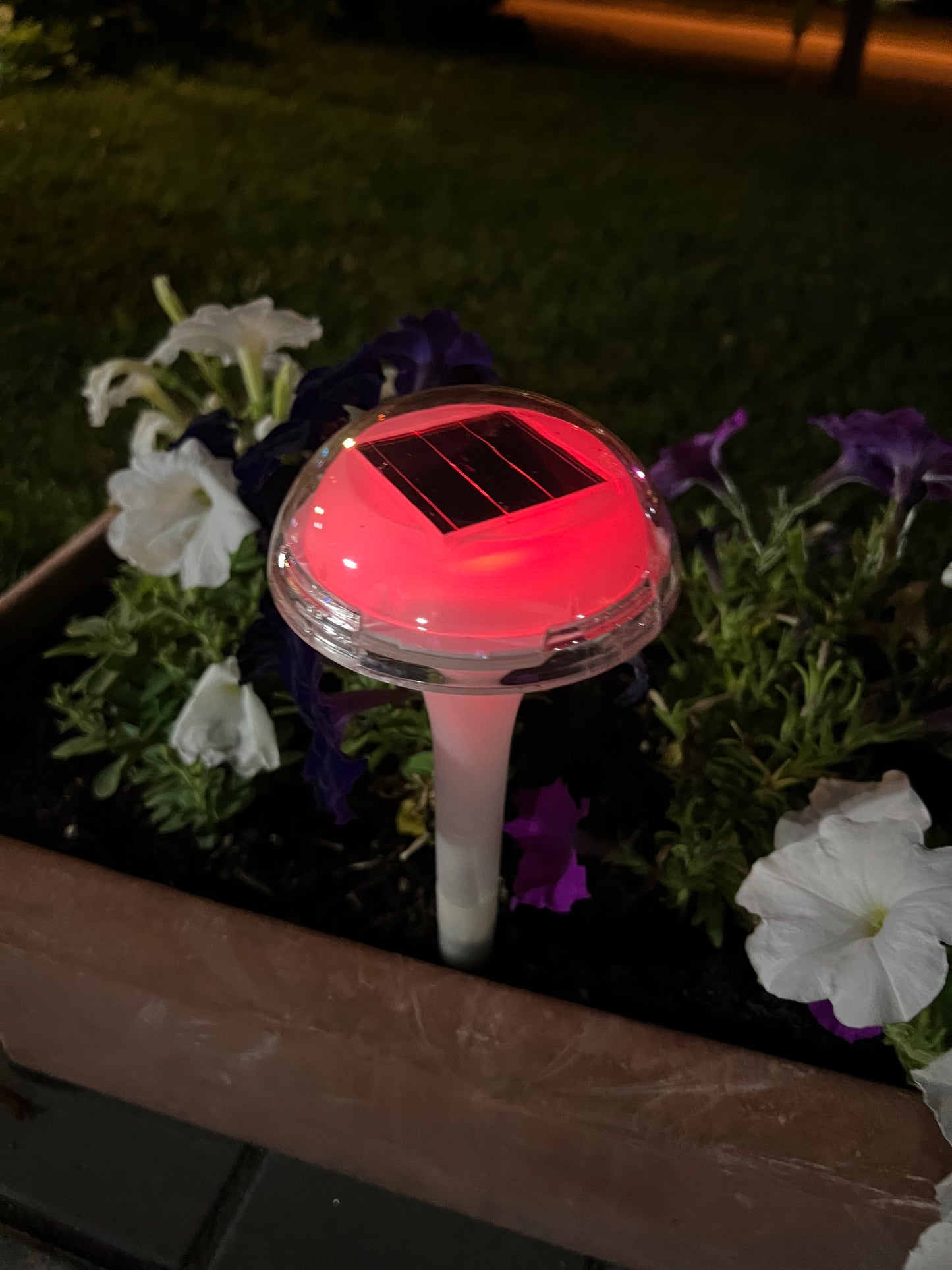 BigM RGB Color Changing Solar Mushroom Lights Change colour constantly at night 