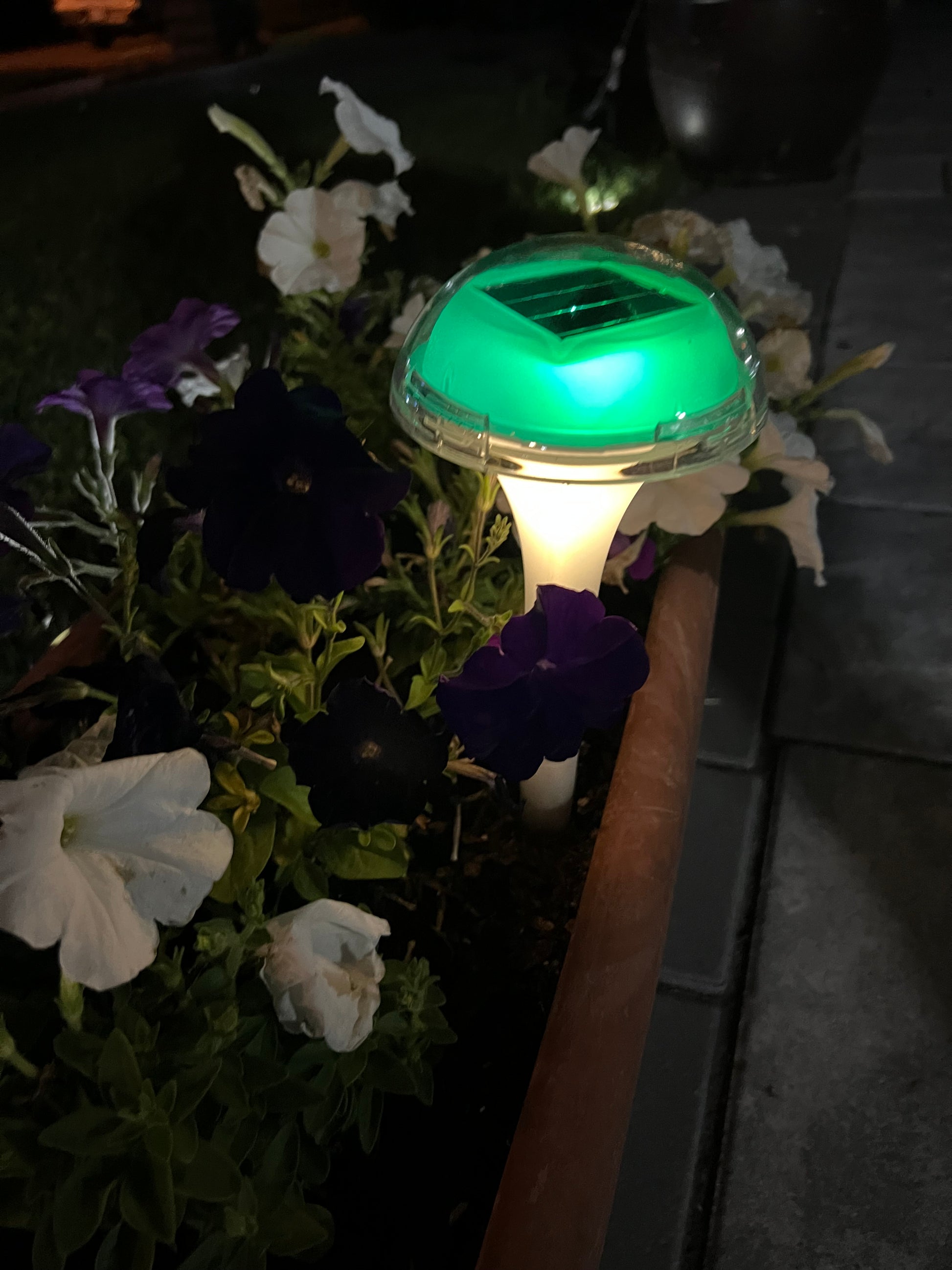 BigM RGB Color Changing Solar Mushroom Lights Glows top to bottom amazingly 