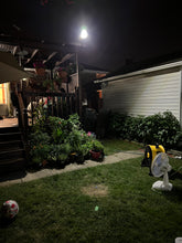 Load image into Gallery viewer, BigM 100W Bright LED Outdoor Solar Street Light installed at the backyard of a house
