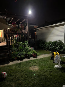 BigM 100W Bright LED Outdoor Solar Street Light installed at the backyard of a house