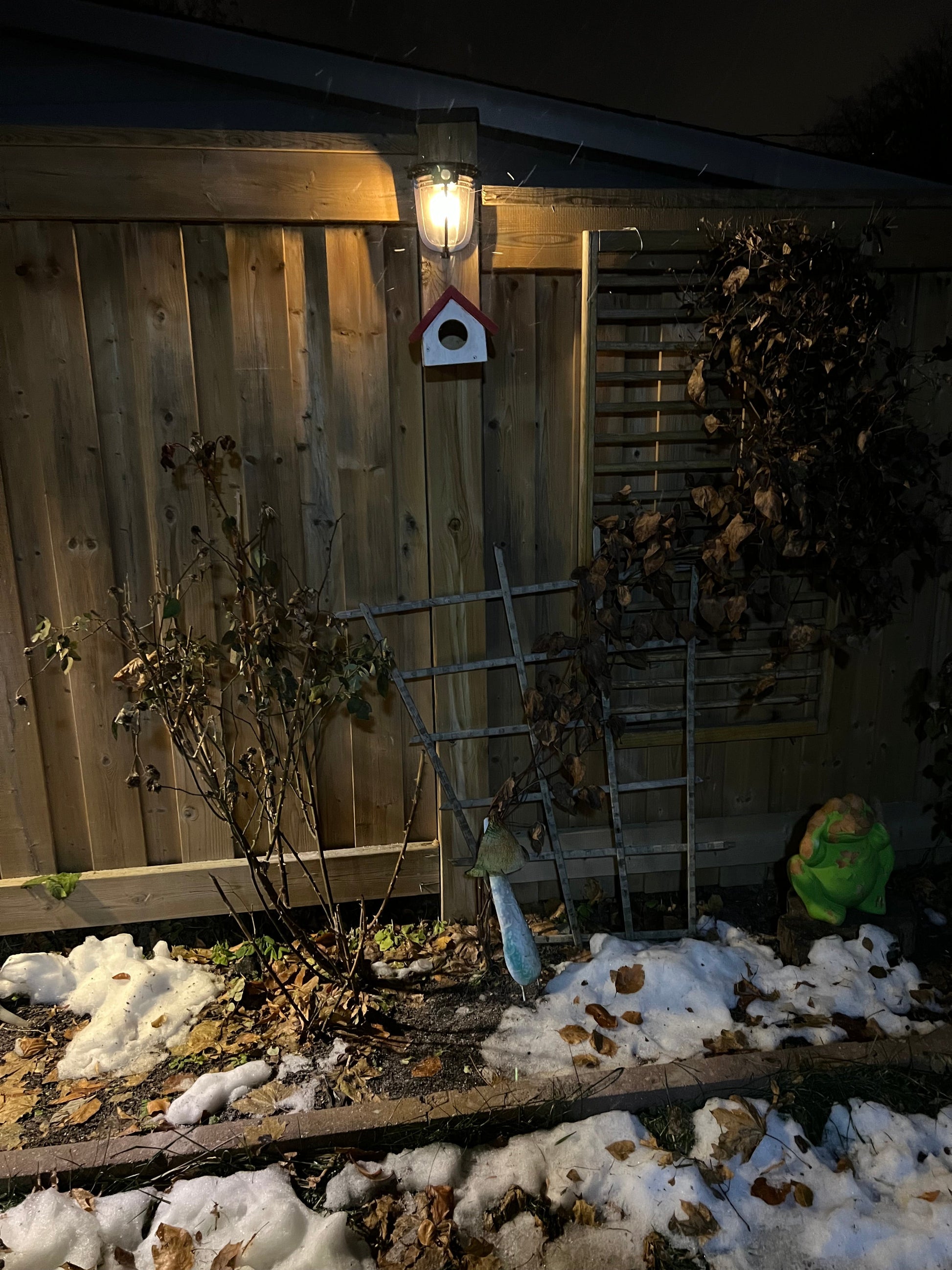 Solar Porch Light with Motion Sensor lighting up a pathway at night